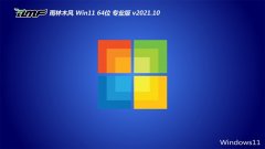 ľ⼤win11 64λĴv2021.10