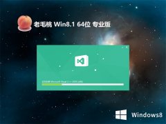 ë⼤win8.1 64λͥȶv2024.05