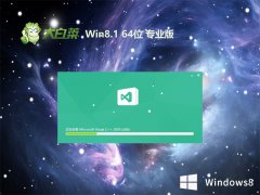 ײwin8.1 64λپv2024.05