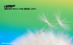 雨林木风win11 64位中文普通版v2022.08